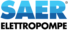 Saer